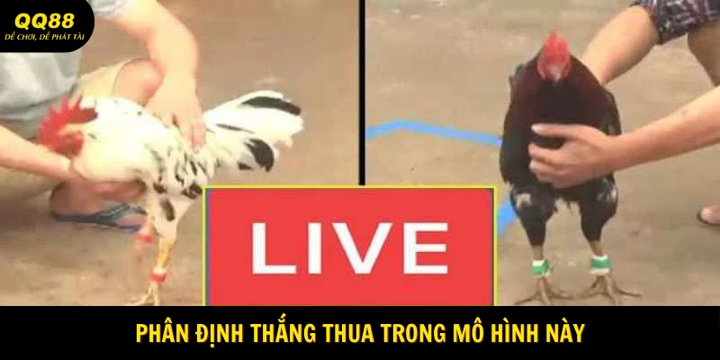 Đá Gà Tre QQ88 - Theo Dõi Màn Đấu Kịch Tính 2025 2 phan-dinh-thang-thua-trong-mo-hinh-nay