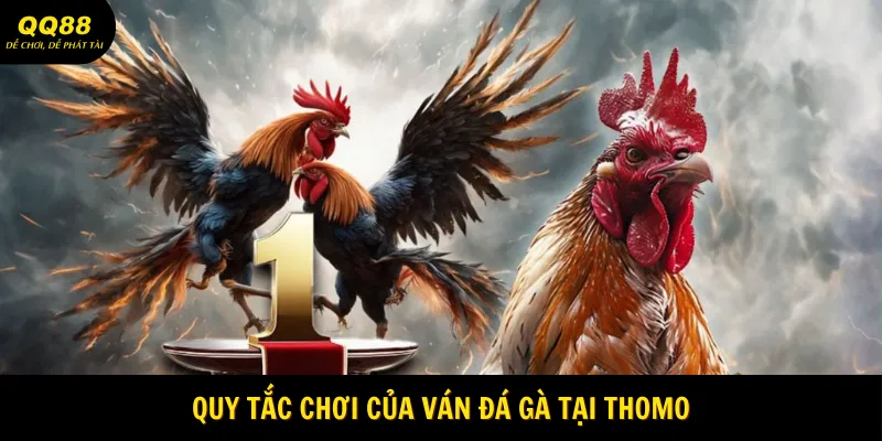 quy-tac-choi-cua-van-da-ga-tai-thomo